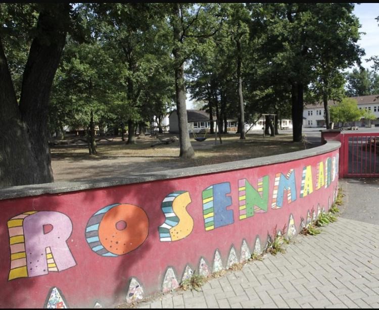 Bild Schule