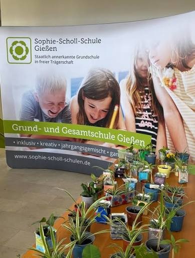 Sophie Scholl Schule